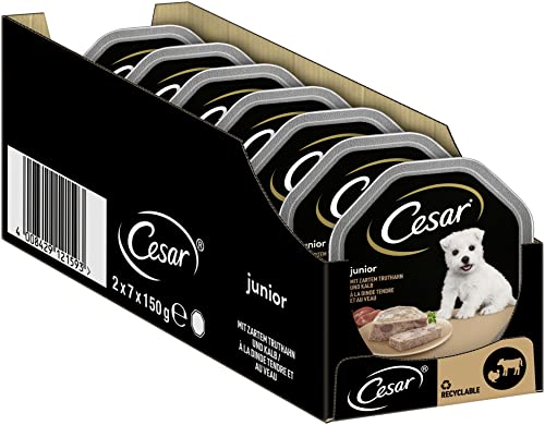 Cesar Hundefutter Nassfutter Junior für Welpen und Junge Hunde 1 Jahre mit Truthahn Kalb in Pastete 14 Schalen 14 x 150g 2100 g