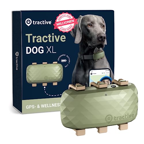 Tractive XL für Hunde Empfohlen von Martin Rütter Bis zu 1 Monat Akku Weltweite Live Ortung Weglaufalarm Gesundheitstracking Mehrfacher Testsieger