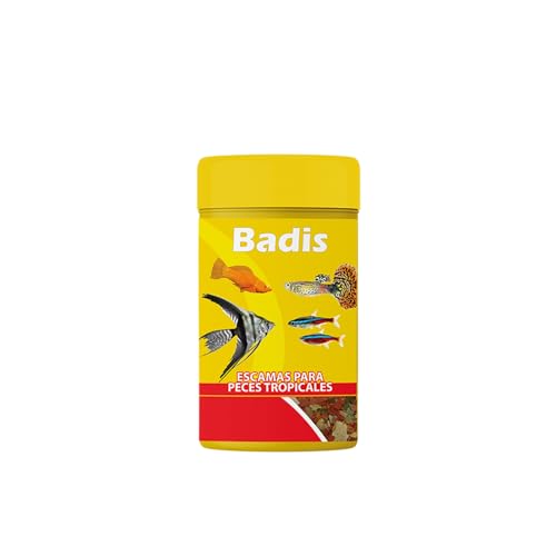 Tropical Fish Flake Food - Format 100 ml 20 g - Alleinfuttermittel für Fische - Fördert Wachstum und Fruchtbarkeit - Verbessert die Pigmentierung - Sauberes Aquarium - Badis