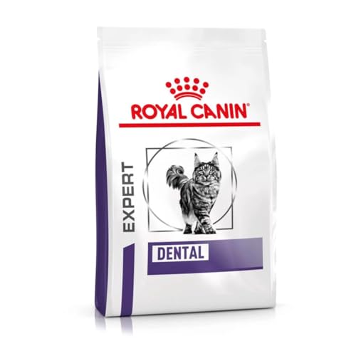 Royal Canin Expert DENTAL 3 kg Alleinfuttermittel für ausgewachsene Katzen Empfindlichkeiten der Mundhöhle Zahngesundheit Haarballen-Komplex