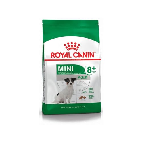 Royal Canin Mini Adult 8 800 g Alleinfuttermittel für ältere Hunde kleiner Rassen Ab dem 8. Lebensjahr Abgestimmter Energiegehalt und angepasste Krokettengröße