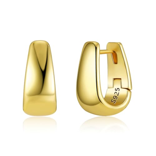 ALEXCRAFT Dick Creolen Gold Ohrringe Klein Damen 14K Vergoldete Ohrringe Geschenk für Frauen Freundin Mama Mädchen