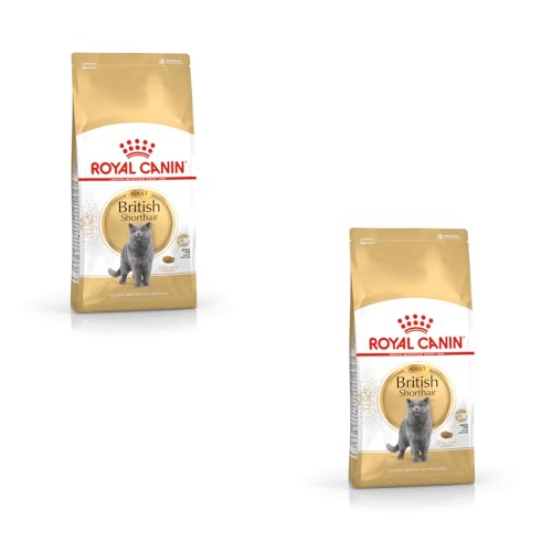 Royal Canin British Shorthair Adult Doppelpack 2 x 400 g Alleinfuttermittel für British Shorthair Katzen Speziell für Britisch Kurzhaar Katzen entwickelt Ab dem 12. Monat