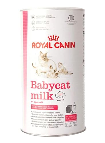Royal Canin Babycat Milk 300 g Milchaustausch-Futtermittel für Katzenwelpen Von der Geburt bis zur Entwöhnung 0-2 Monate Für ein harmonisches Wachstum