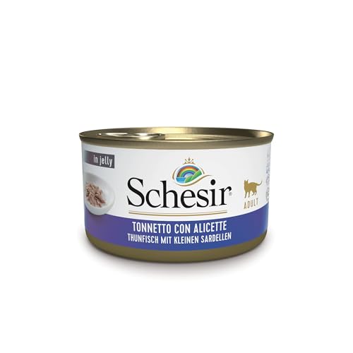 Schesir Cat Jelly Thunfisch mit Sardelle Katzenfutter nass in Gelee Dosenx 85 g