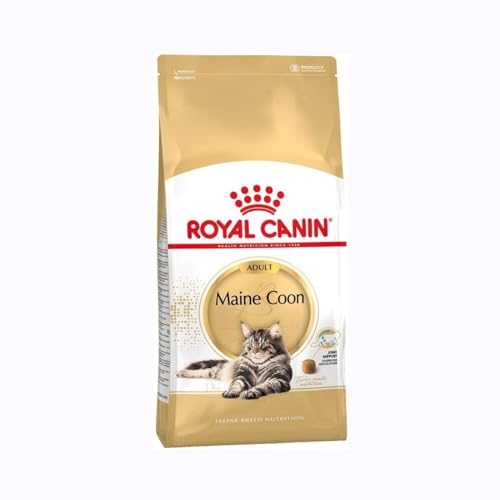 Royal Canin Maine Coon Adult 400 g Trockenfutter für Katzen Angepasst auf den Bedarf von Maine Coon Katzen Zur Unterstützung der Gelenke und Knochen