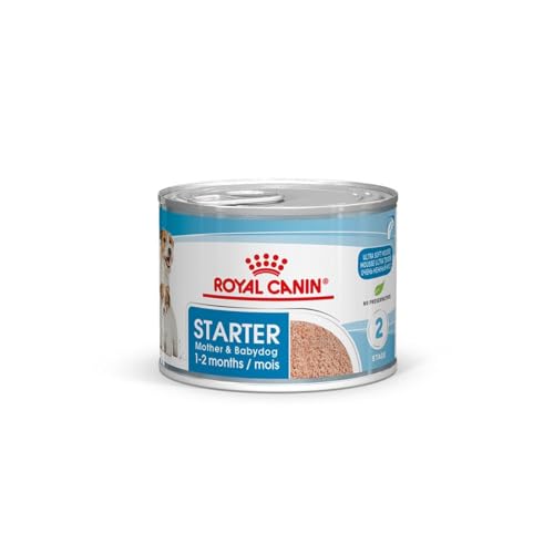 Royal Canin Starter Mousse Mother Babydog 12 x 195 g Ultra Soft Mousse Feuchtnahrung Für Hündinnen im letzten Drittel der Trächtigkeit und während der Säugezeit