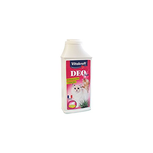  Deo Fresh Lufterfrischer für frisches mit Aloe Vera 375 g