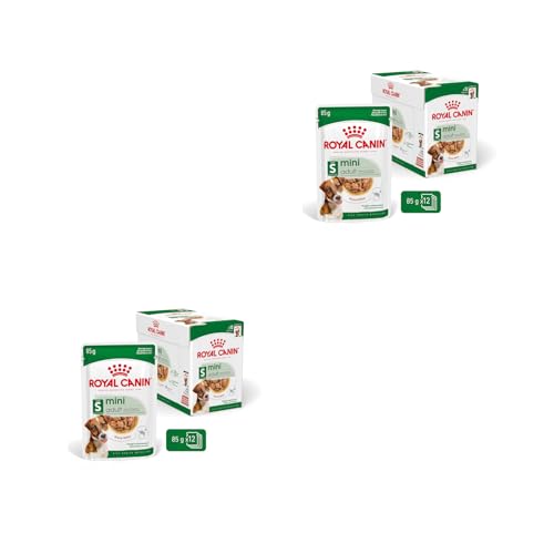 Royal Canin Mini Adult Doppelpack 2 x 12 x 85 g Nassfutter für ausgewachsene kleine Hunde Kann zur optimalen Versorgung Kleiner Hunderassen eingesetzt Werden Im Frischebeutel