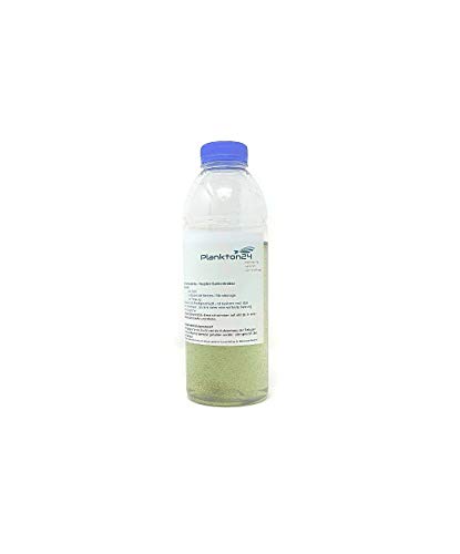 Lebendfutter Artemia Salina - Nauplien Salinenkrebse 100ml Zooplankton