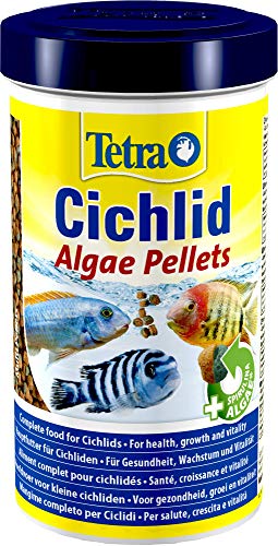 Tetra Cichlid Algae Pellets - Fischfutter mit Spirulina Algen für die besonderen Ernährungsbedürfnisse von alles- und pflanzenfressenden Cichliden 500 ml Dose