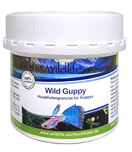 WILDLIFE Wild Guppy Hauptfutter speziell für Guppys 520 g