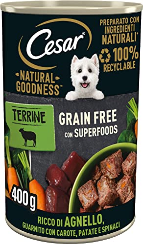 Cesar Natural Goodness Nassfutter für Hunde Lamm und Gemüse 6 Dosen 400 g insgesamt 2 4 kg