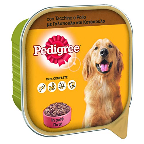 Pedigree Hundefutter mit Truthahn und Huhn in Pastete Behälter 300 g 20 Schalen