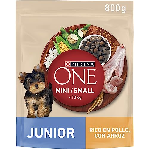 Purina ONE Mini 10 kg Futter für kleine Hunde Welpen Junior Baby mit Huhn und Reis 800 g Beutel