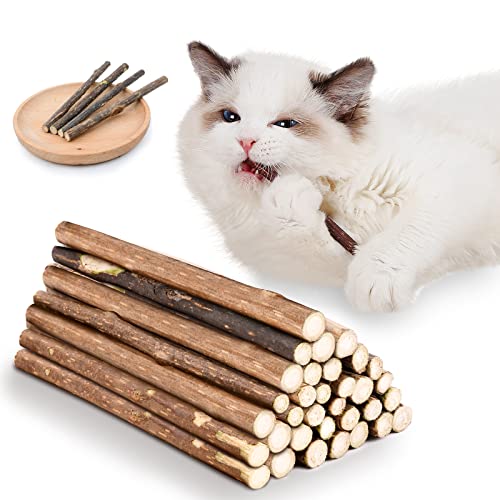 OSDUE 32 Stück Sticks Matatabi Kausticks Spielzeug Katzen Kauhölzer Sticks für Katzen Zahnpflege Gegen Mundgeruch Natürlich Sicher Katzensticks Kausticks Set