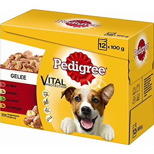 Pedigree Adult in Gelee im Multipack 4X 12x100g Hundefutter