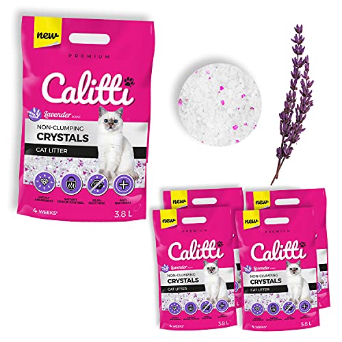Calitti   Silikat Katzenstreu Premium Crystals Silikatstreu Antibakteriell Katzensand mit frischem Lavendelduft 4 er Set 4 x 3 8 L 15 L