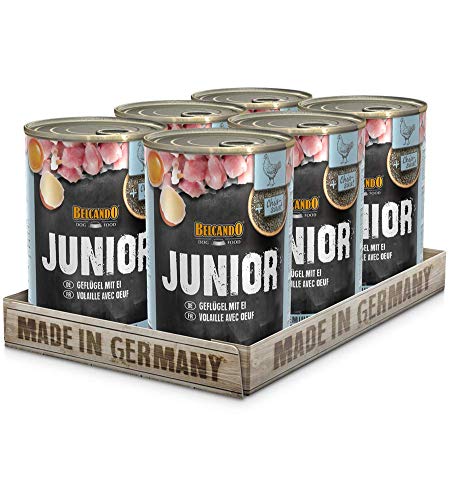 BELCANDO Nassfutter für Hunde Junior Geflügel mit Ei 6X 400g Dose Hundefutter nass für alle Rassen Made in Germany