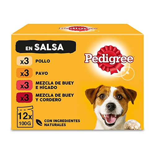 Pedigree Nassfutter für Hunde mit gemischten Geschmacksrichtungen in Sauce Multipack 4 x 12 Beutel x 100 g