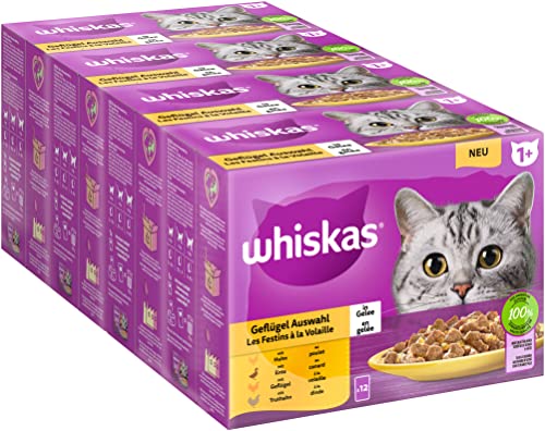 Whiskas 1 Katzenfutter Geflügel Auswahl in Gelee 12x85g 4 Packungen Hochwertiges Nassfutter für ausgewachsene Katzen in 48 Portionsbeuteln