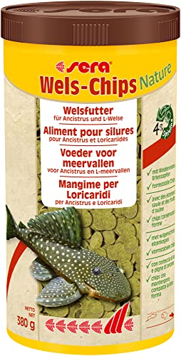 sera Wels Chips Nature 1000 ml bzw. 1l   Formstabile Chips raspelnde Saugwelse Ancistrus und L Welse mit sehr hoher Futterverwertbarkeit damit weniger Algen