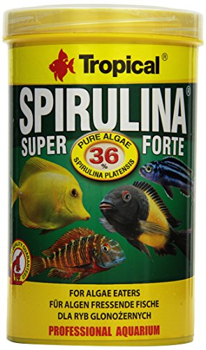 Tropical Super Spirulina Forte 36% Flockenfutter 1x 1 l