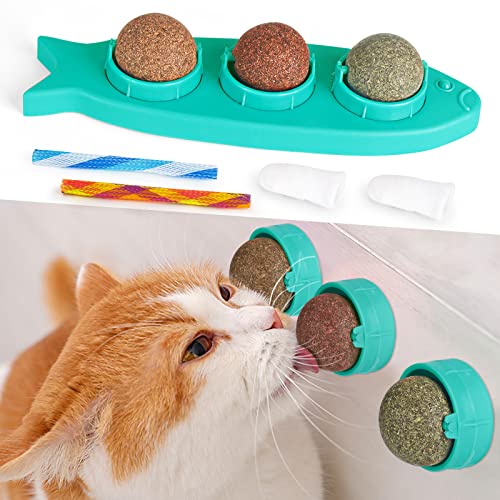  Balls MOMSIV Wandroller Drehbare Dentales Essbares Kauspielzeug Hunden Haustiere Fingern Katzenlecken Zahnreinigung Kitty Spring Blau