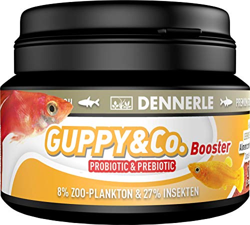Dennerle Guppy Co. Booster - Futter für lebendgebärende Fische wie Guppy Platy