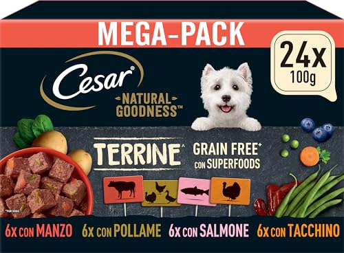 Cesar NATURAL GOODNESS der Schale Superfoods 4 Varietäten Megapack 24x100g