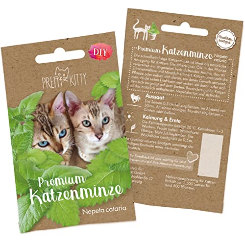 Pretty Kitty Samen Premium Catnip Saatgut zur Anzucht Pflanzen 1.000x Nepeta Cataria Samen Topf und Garten