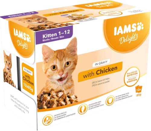 IAMS Delights Kitten Nassfutter   Multipack Katzenfutter mit Huhn in Sauce hochwertiges Futter Junior Kätzchen von 1 12 Monate 12x 85g