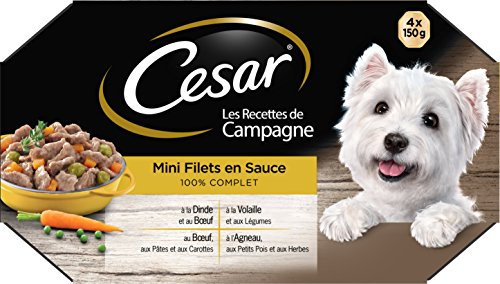 Cesar Les Recettes de Campagne Mini-Netz für Erwachsene Hunde 4 Geschmacksrichtungen 6 x 4 Schalen 150 g