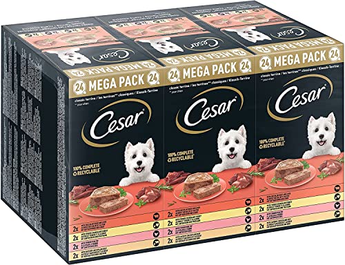 Cesar Megapack Klassik Terrine   Hundenassfutter der Schale   4 Varietäten im Multipack   24x 150g