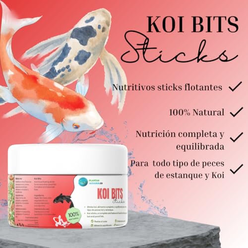 Koi Bits 1000 ml schwimmendes Futter für Teichfische Nährsticks ausgewogene und natürliche Ernährung Komplettfutter für alle Arten von Fischen und Zierkarpfen im Teich.