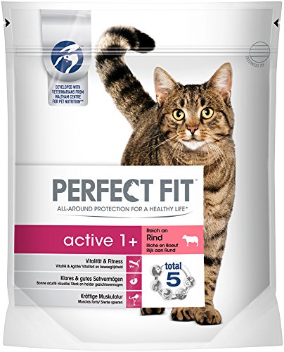 Perfect Fit Cat Trocken Active 1 plus reich an Rind 750 g