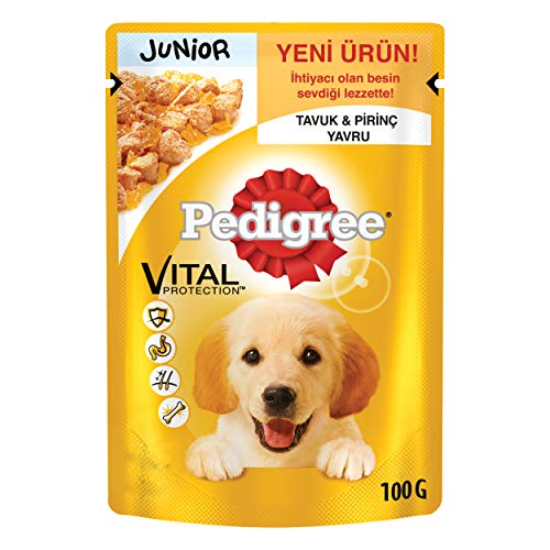 Mars Polska PEDIGREE Trockenfutter für Hunde 100 g Junior Kura 24