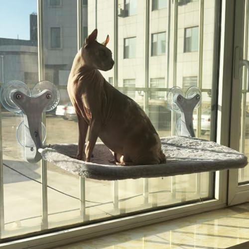 Wenbones Katzenbett Fenster mit Stabil Saugnäpfe 6 Saugnäpfe Katzen Hängematte Fensterplätze 60x30cm Fensterplätze für Katzen Einfach zu Montieren Fenster Hängematte Klappbar