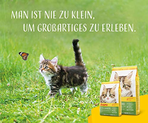 JOSERA Kitten grainfree 1x 2kg getreidefreies Lachsöl Super Premium für wachsende 1er Pack