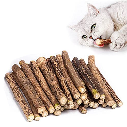 30 Stück katzenminze Sticks für Katzen matatabi Stick Katzen Sticks Matatabi-Kausticks als Katzenspielzeug kauholz Katze Catnip Sticks Katzenminze Sticks zum Schleifen von Zähnen
