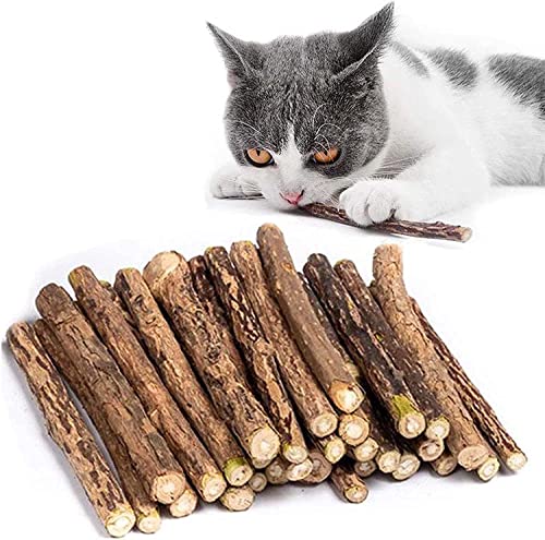 30 Stück katzenminze Sticks für Katzen matatabi Stick Katzen Sticks Matatabi-Kausticks als Katzenspielzeug kauholz Katze Catnip Sticks Katzenminze Stick