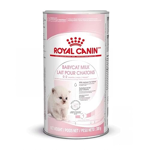 Royal Canin Babycat 300g Milchaustausch Futtermittel fÃ¼r Katzenwelpen Von der Geburt bis zur EntwÃ¶hnung 0 2 Monate FÃ¼r EIN harmonisches Wachstum