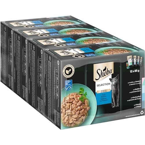  Selection im Portionsbeutel Fisch Variation MSC Multipack 4x12x85g