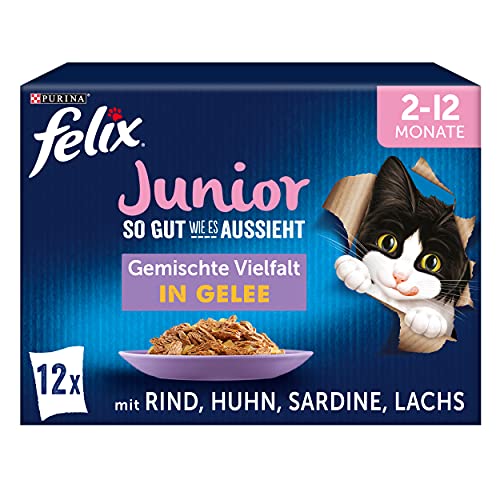 FELIX So gut wie es aussieht Junior Kittenfutter nass Sorten Mix 6er Pack 6x 12 85g