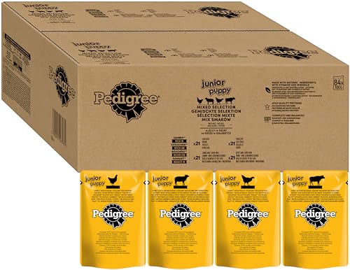 Pedigree Junior Multipack Gemischte Selektion in Gelee - Hundenassfutter im Portionsbeutel für junge Hunde - 4 Varietäten - 84 x 100g