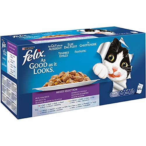 Felix Katzennassfutter Gelee Gemischte Vielfalt 44 x 100 g Multipack Premium Portionsbeutel