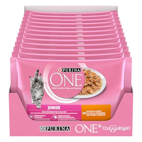 PURINA ONE Single Serve Junior Huhn 12 x 4 48 x 85 g