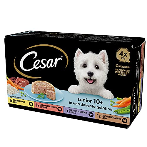 Cesar Senior 10 Futter für ältere Hunde Verschiedene Auswahl 150 g 24 Schalen - 3600 g