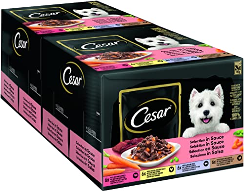 Cesar Selection Sauce Ausgewogenes Nassfutter für Hunde Besonders saftige Häppchen mit Rind und Karotten 2 x 24 x 100g Beutel