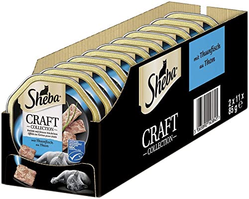  Katzenfutter der Schale Craft Collection Pastete feinen Stückchen Thunfisch MSC Schalen